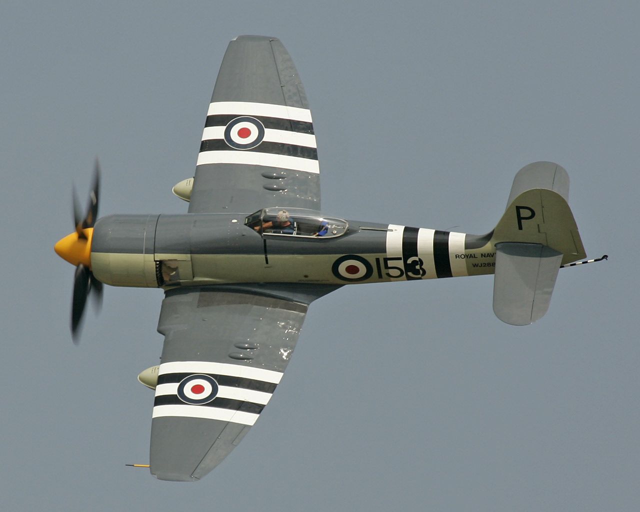 Hawker Sea Fury Wallpapers