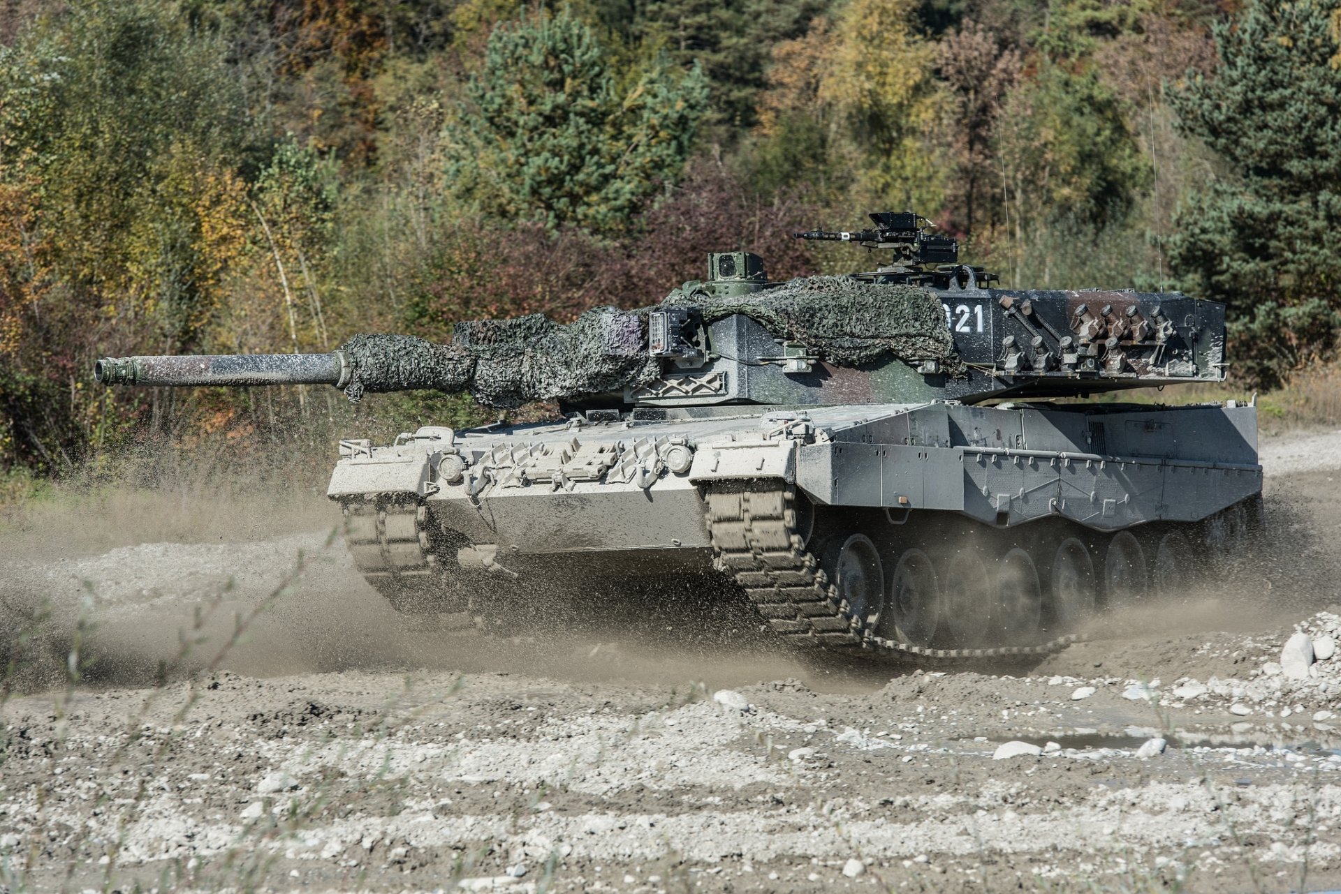 Leopard 2 Wallpapers