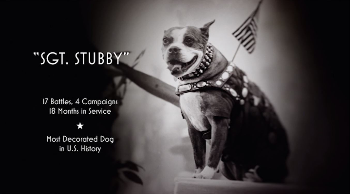 Sergeant Stubby Wallpapers