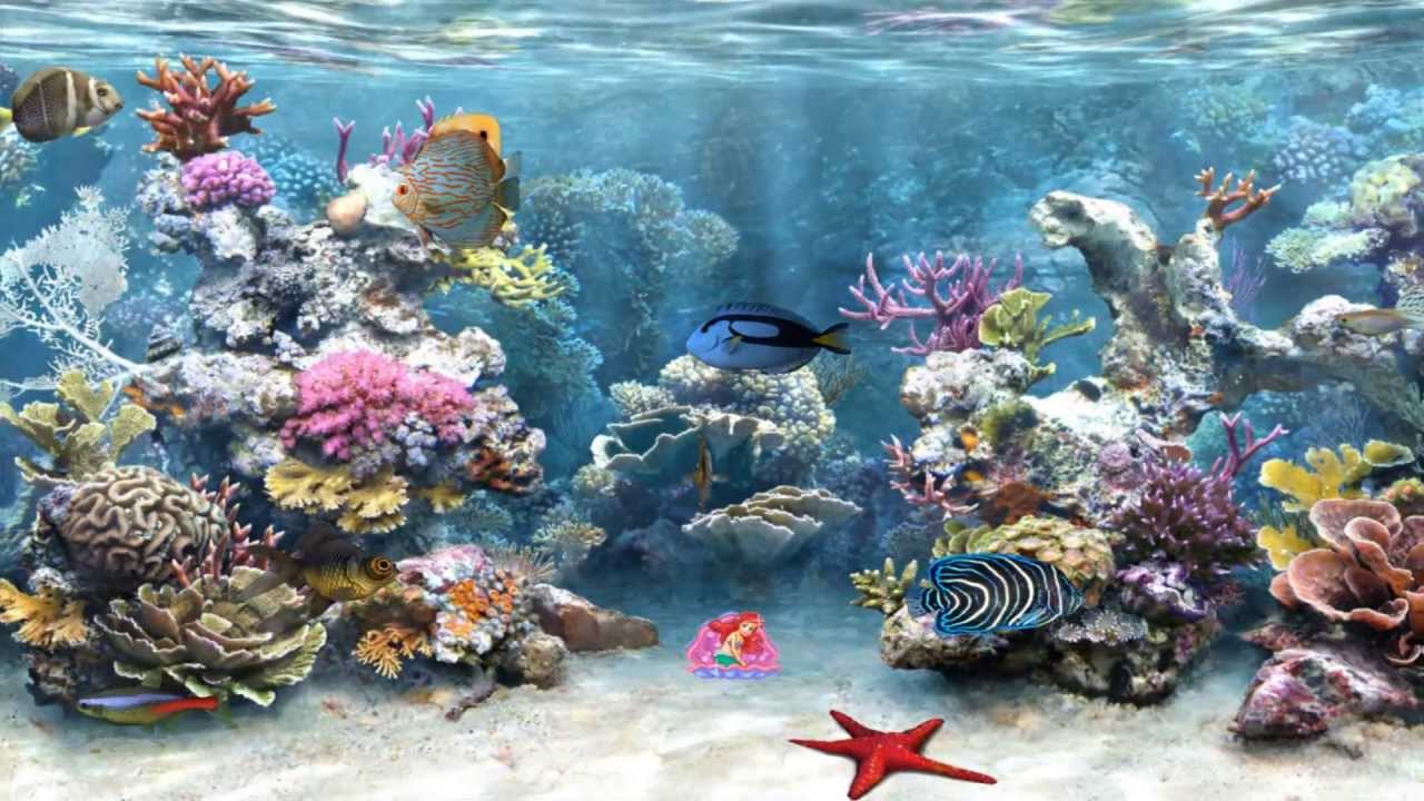 Cartoon Aquarium Wallpapers