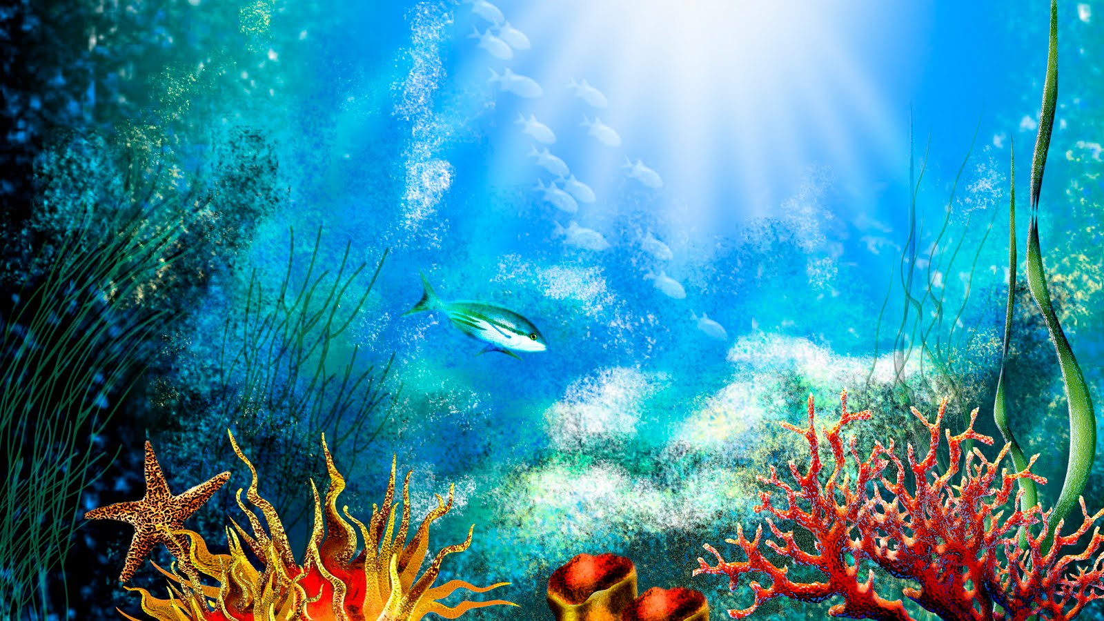 Cartoon Aquarium Wallpapers