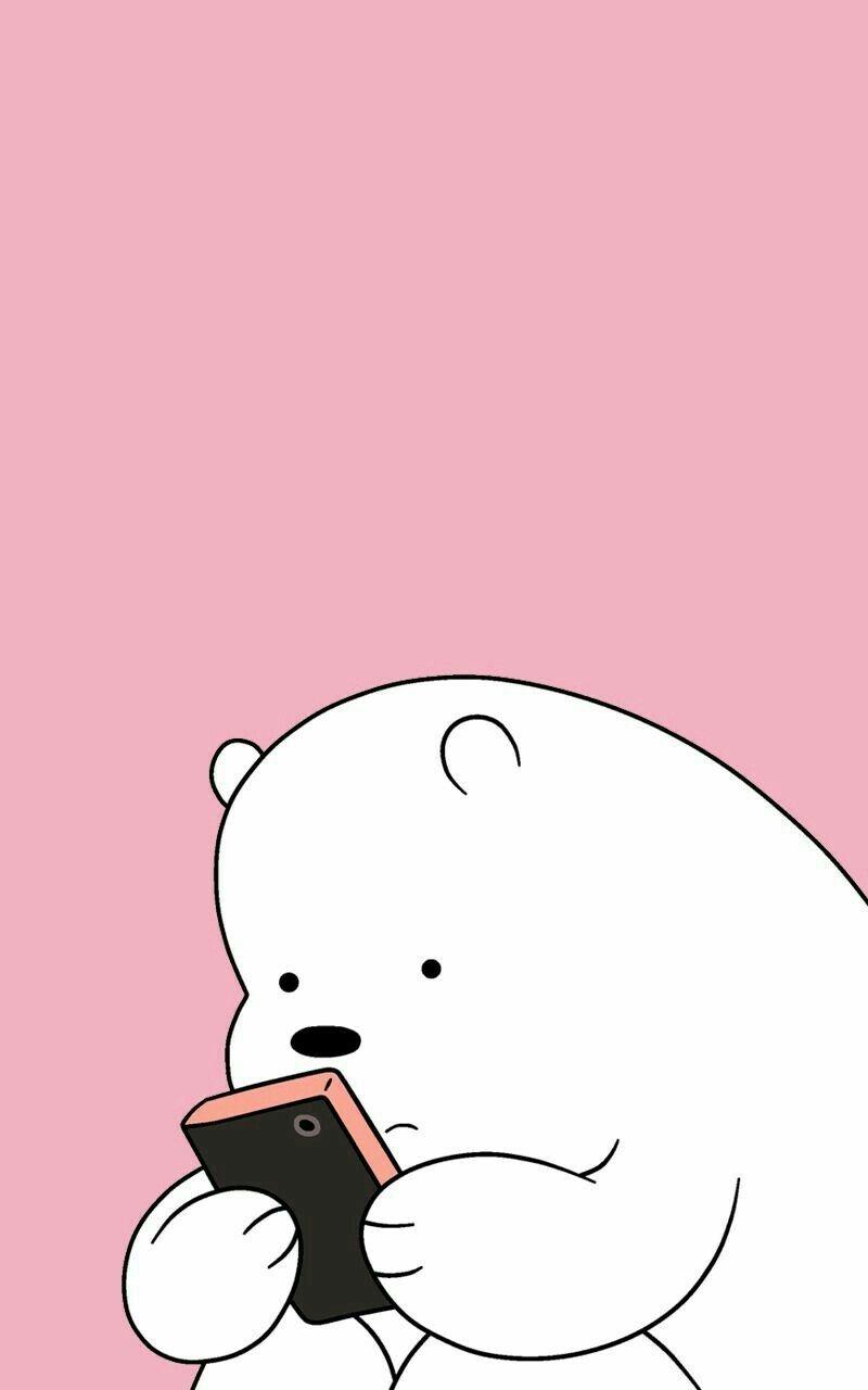 Cartoon Bear Wallpapers