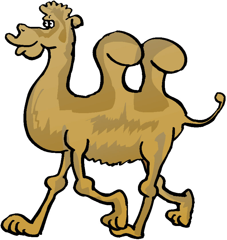 Cartoon Camel Wallpapers