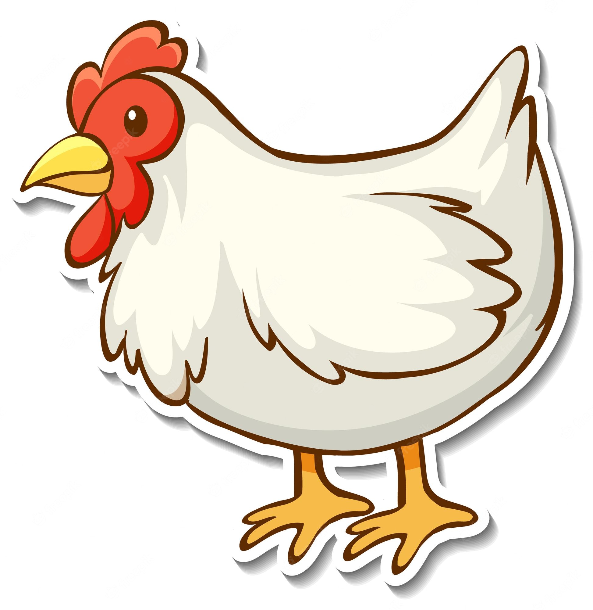 Cartoon Chicken Wallpapers