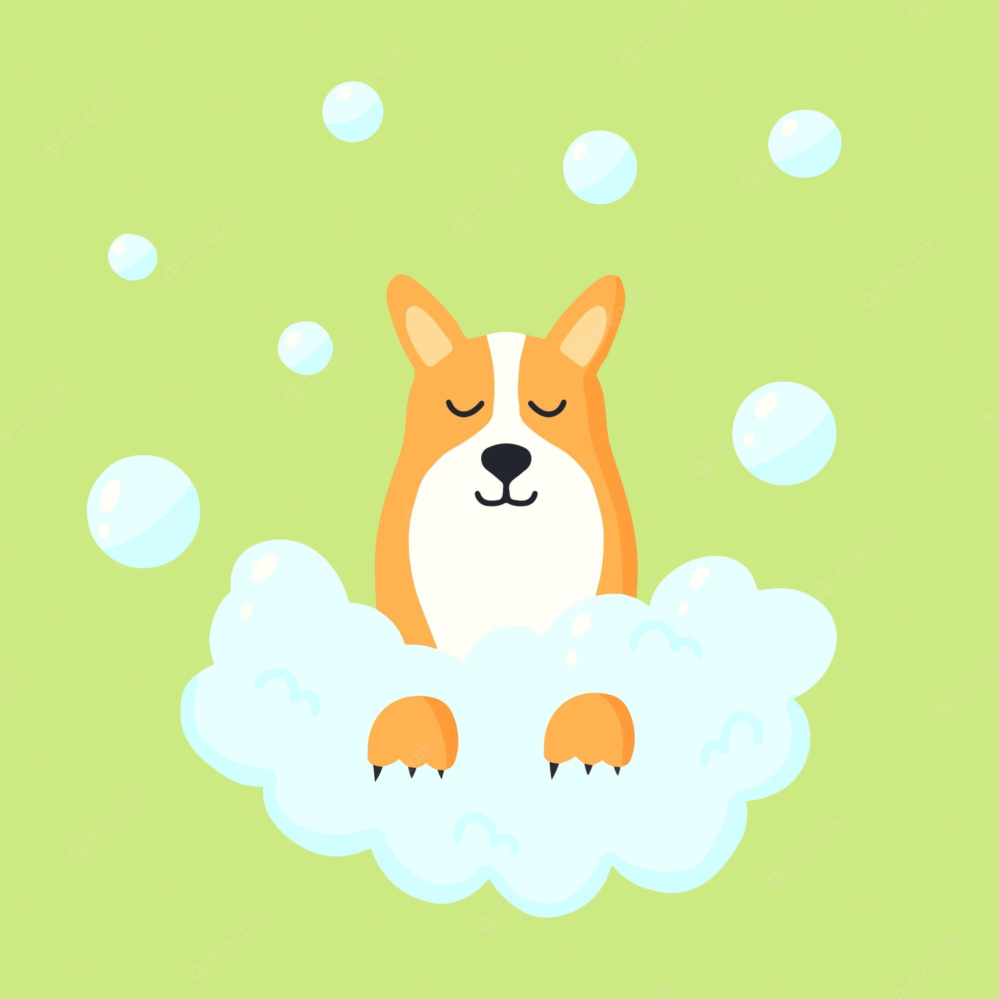 Cartoon Corgis Wallpapers