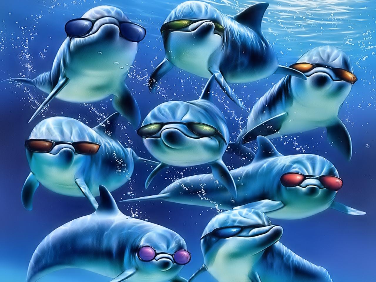 Cartoon Dolphin Wallpapers