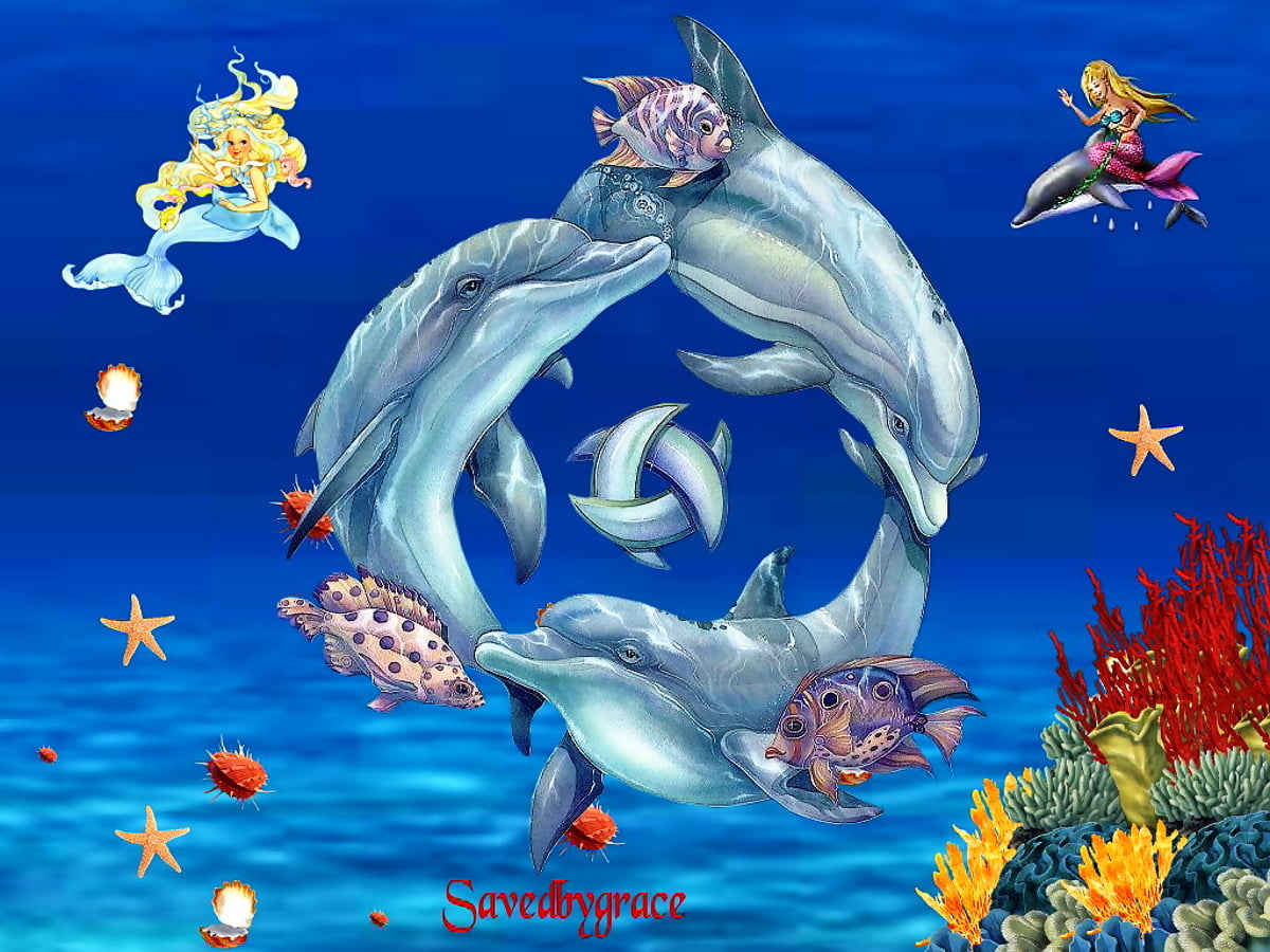 Cartoon Dolphin Wallpapers