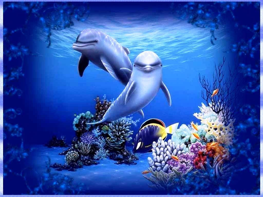 Cartoon Dolphin Wallpapers