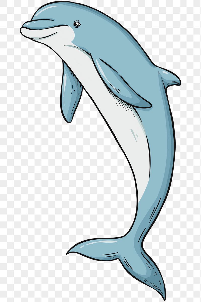 Cartoon Dolphin Wallpapers