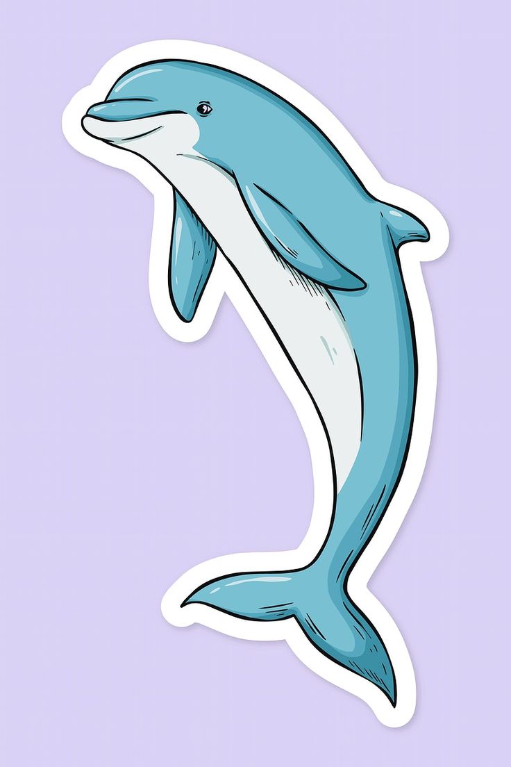 Cartoon Dolphin Wallpapers