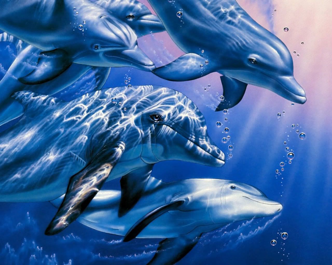 Cartoon Dolphin Wallpapers