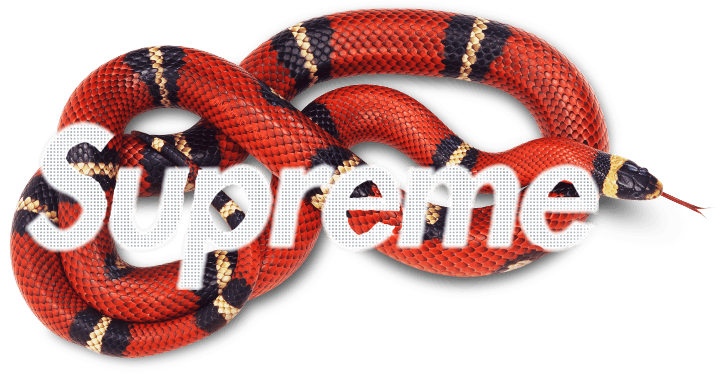 Cartoon Gucci Snake Wallpapers