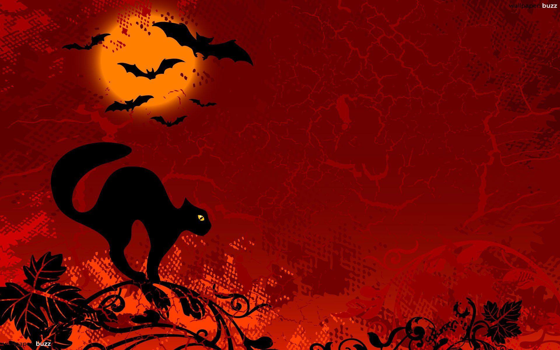 Cartoon Halloween Cat Desktop Wallpapers