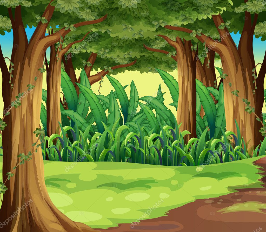 Cartoon Jungle Wallpapers