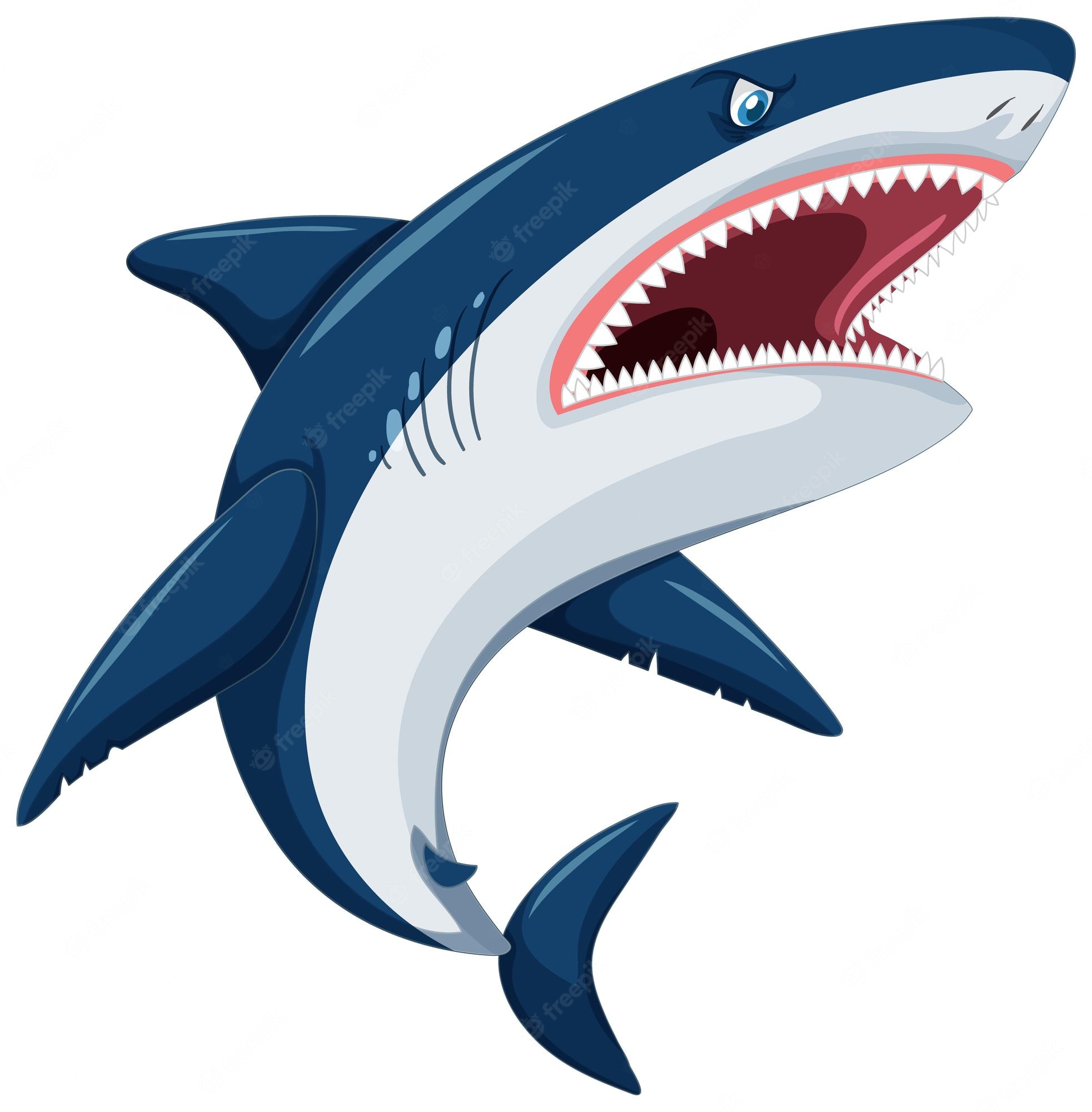 Cartoon Shark Wallpapers