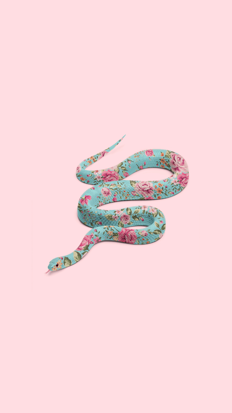 Cartoon Snake Wallpapers