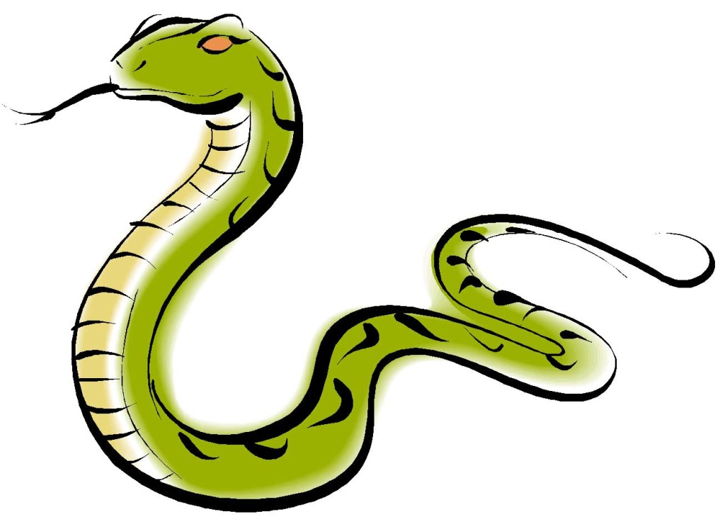 Cartoon Snake Wallpapers