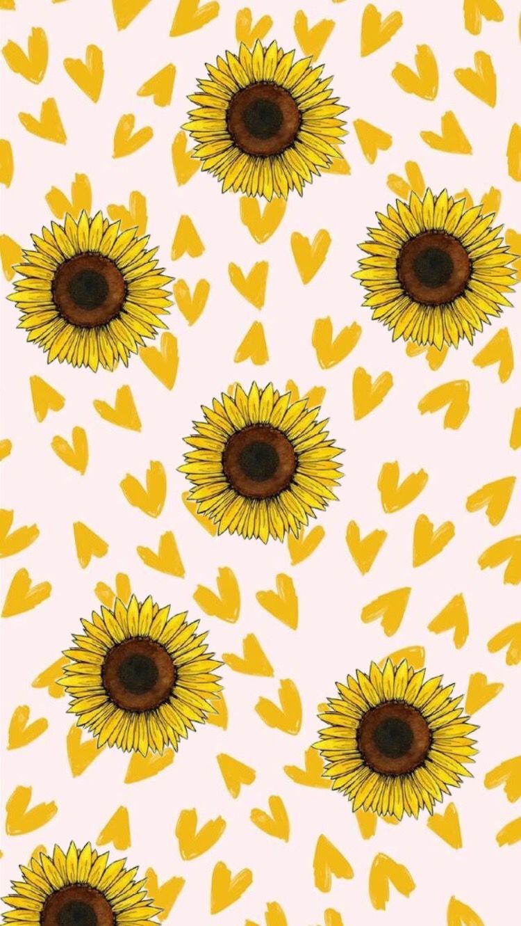 Cartoon Sunflower Wallpapers