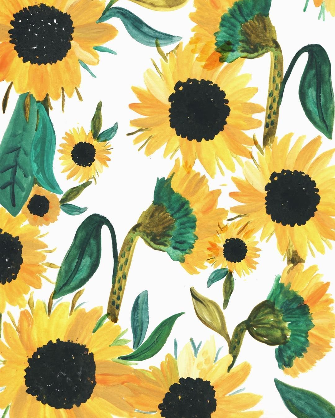 Cartoon Sunflower Wallpapers