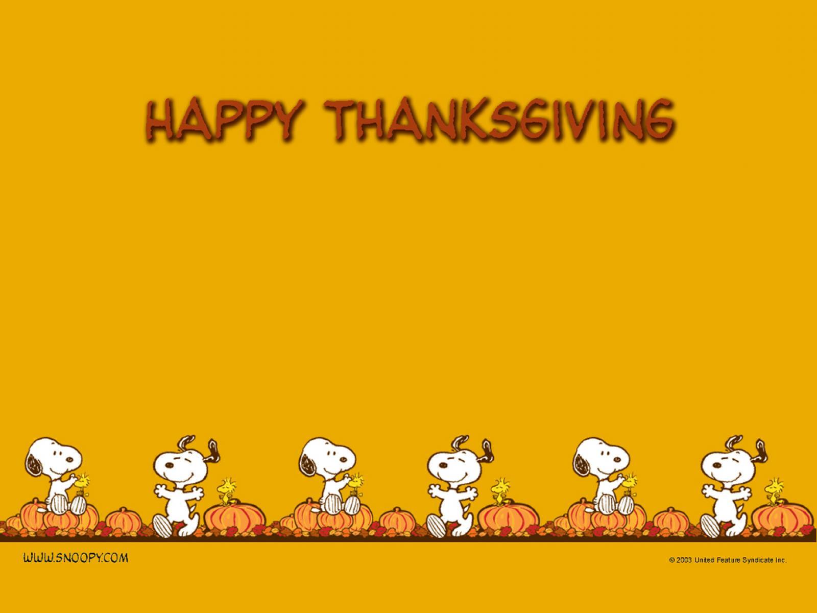 Cartoon Thanksgiving Wallpapers