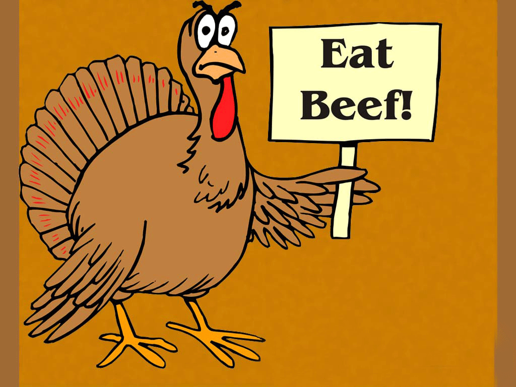 Cartoon Thanksgiving Wallpapers