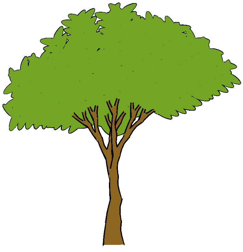 Cartoon Trees Wallpapers