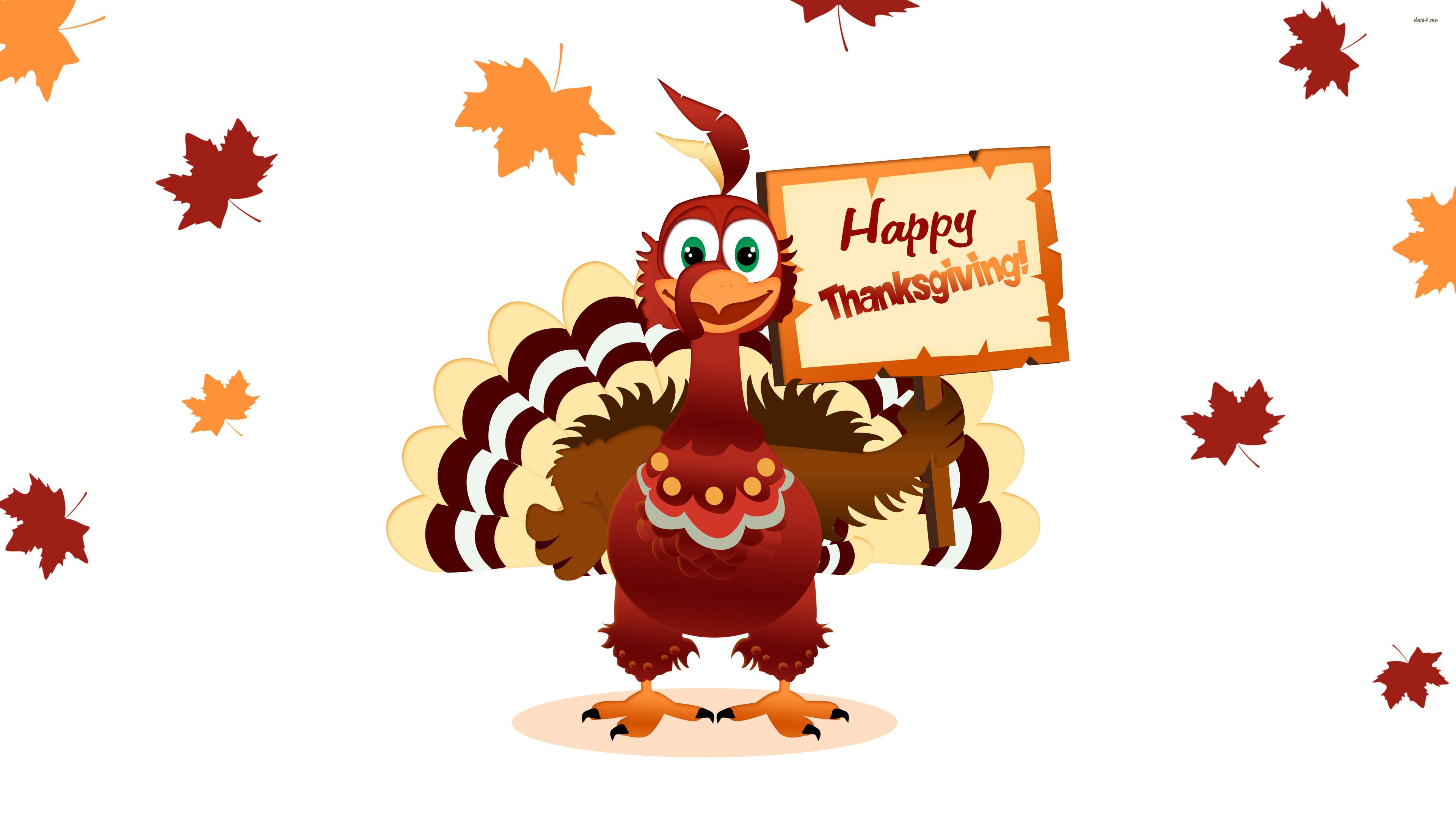 Cartoon Turkey Wallpapers