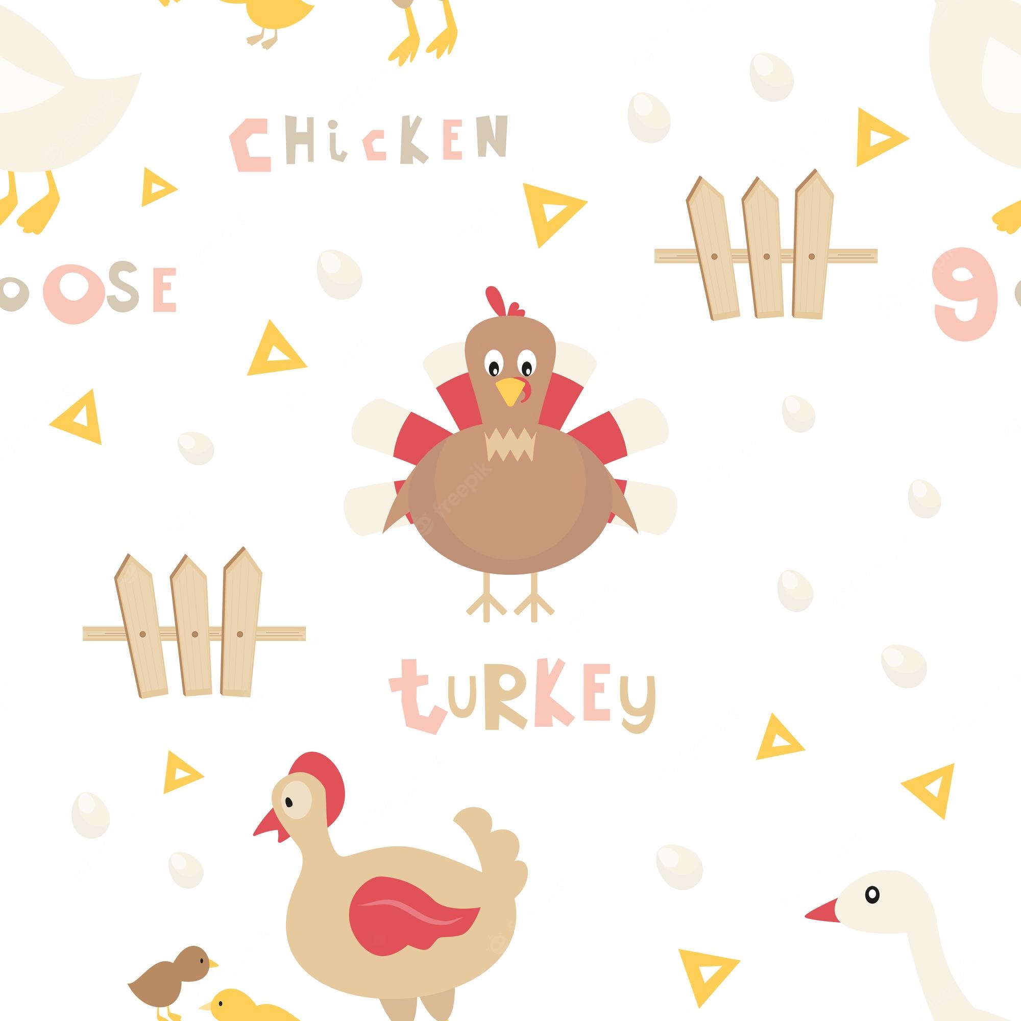 Cartoon Turkey Wallpapers