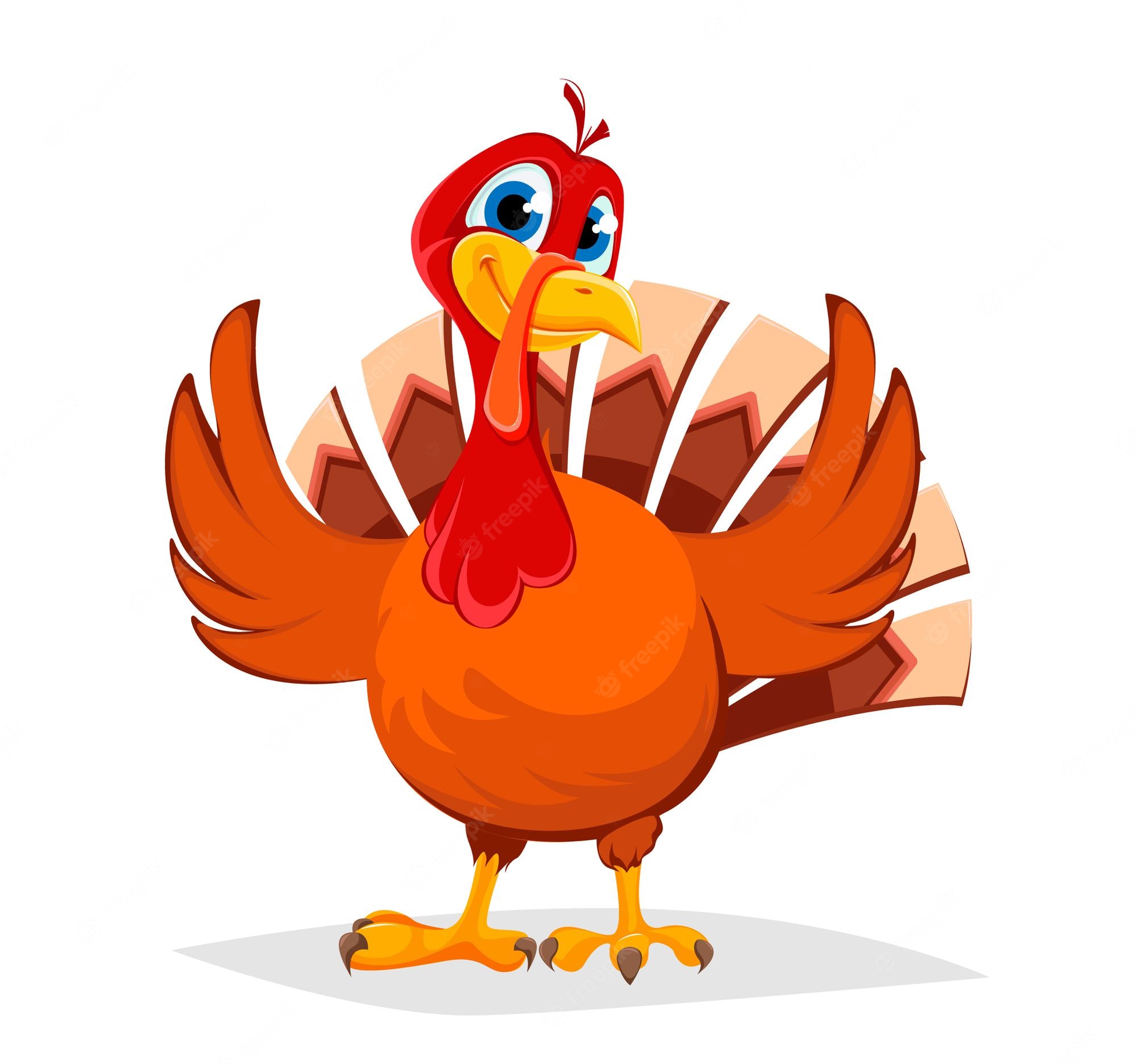 Cartoon Turkey Wallpapers