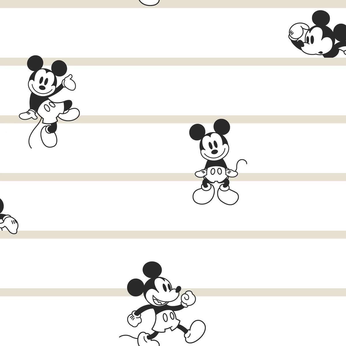 Mickey Mouse Black And White Wallpapers