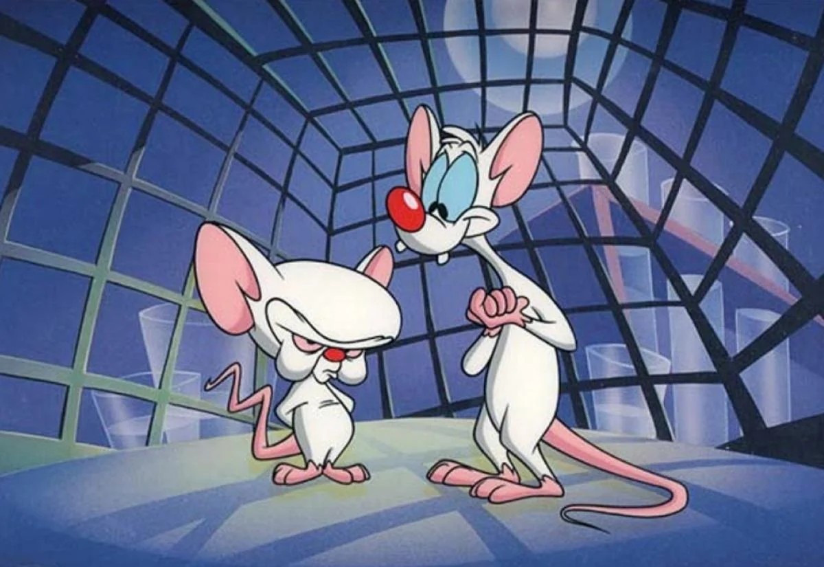 Pinky And The Brain Wallpapers