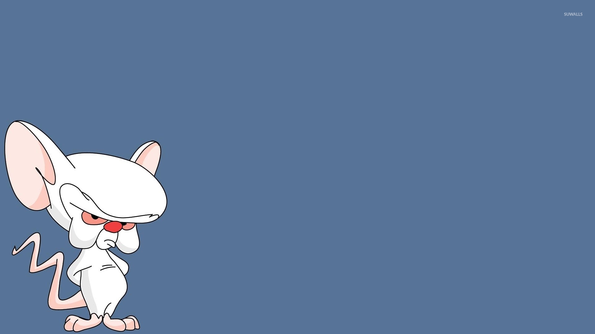 Pinky And The Brain Wallpapers