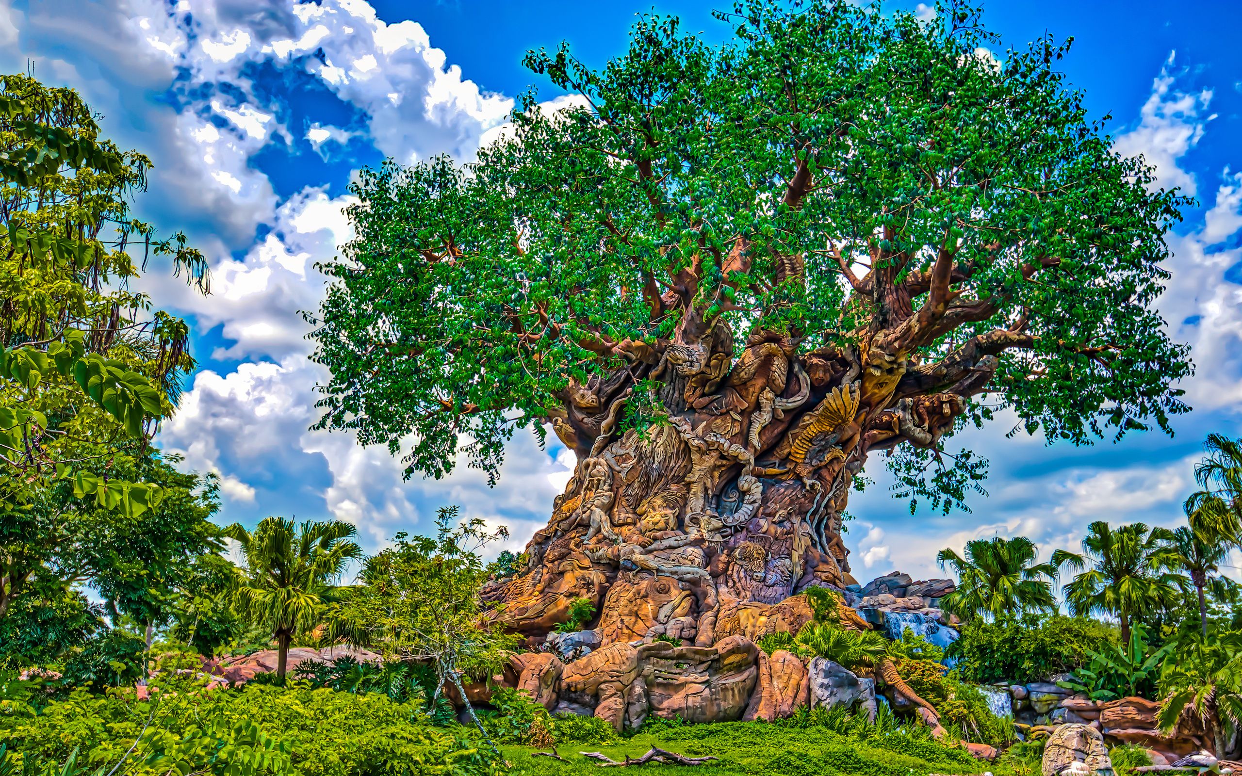 Animal Kingdom Wallpapers