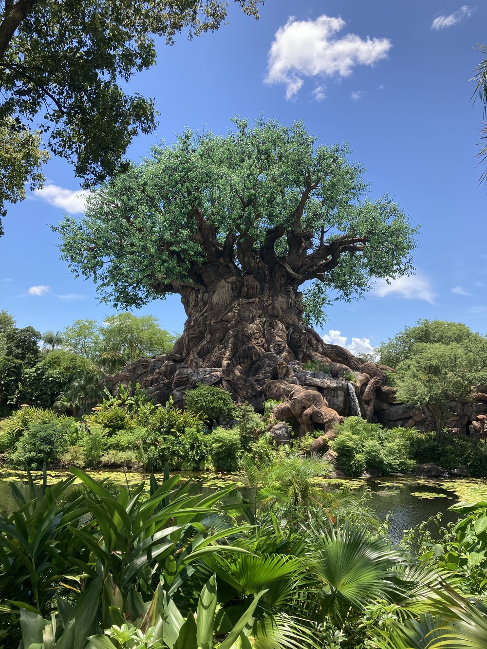 Animal Kingdom Wallpapers