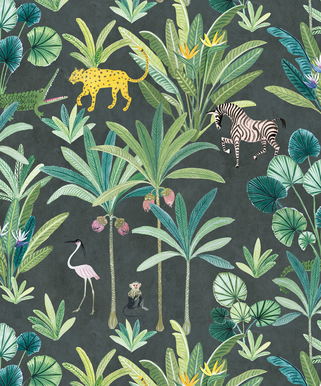 Animal Kingdom Wallpapers