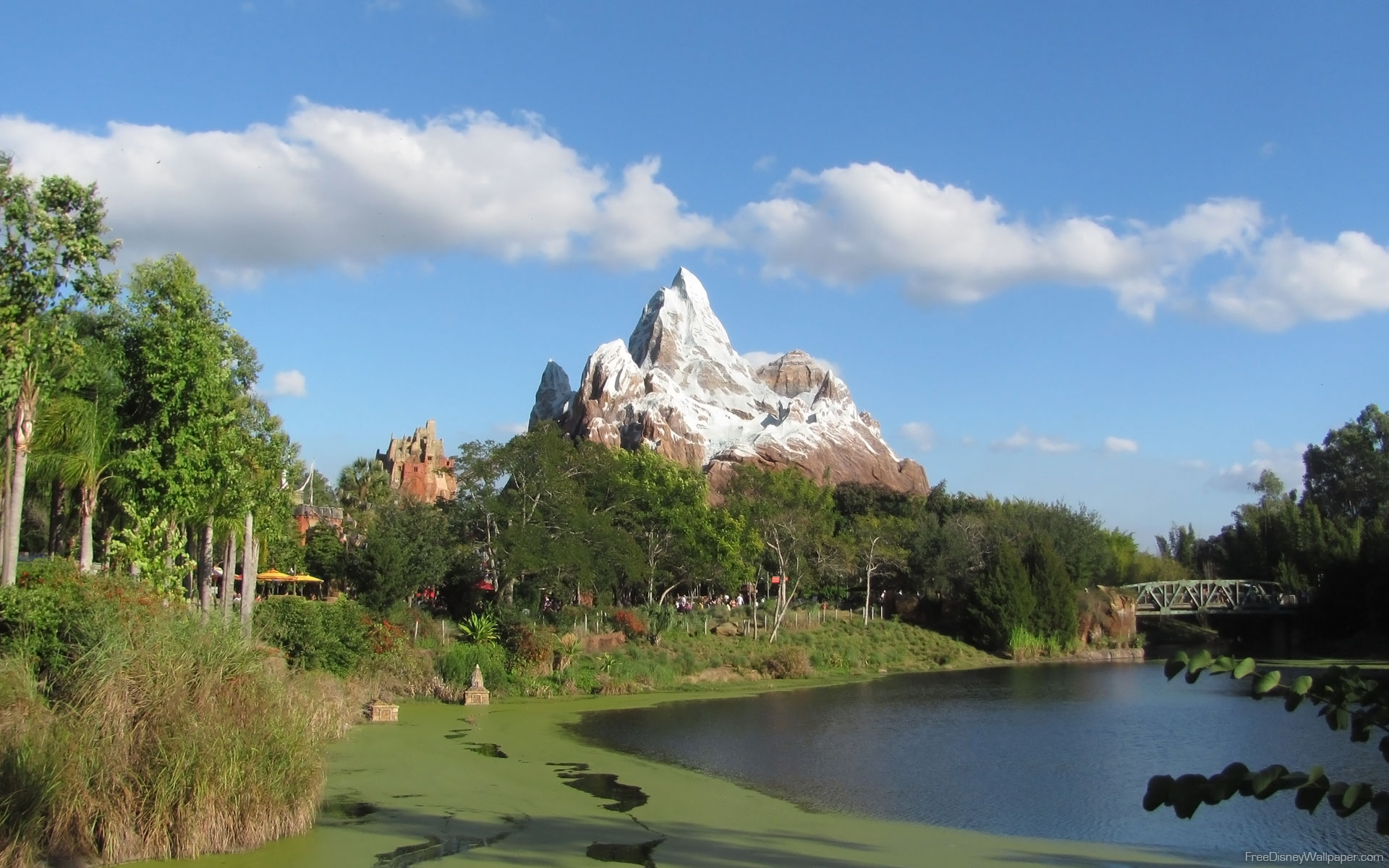 Animal Kingdom Wallpapers