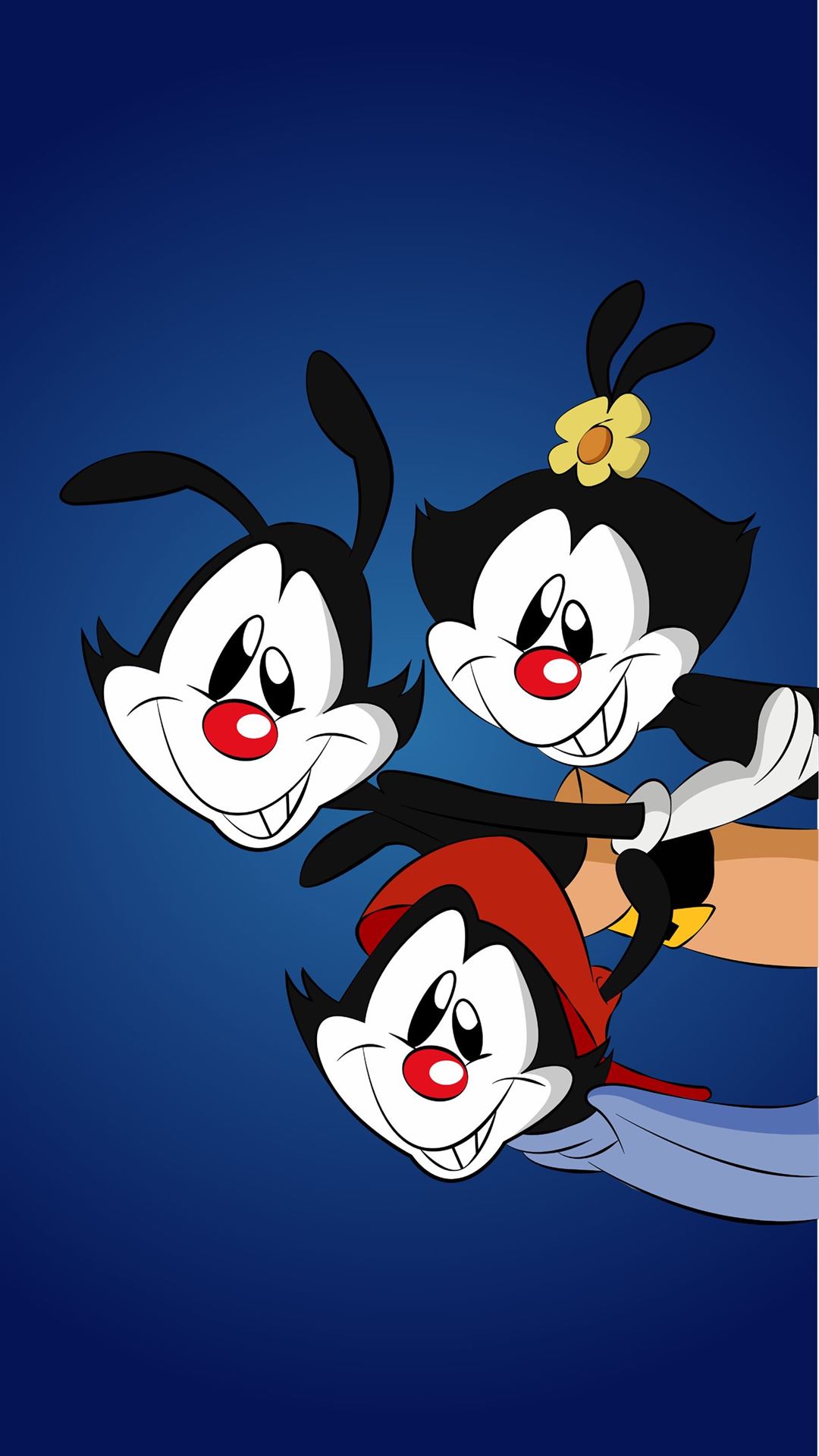 Animaniacs (1993) Wallpapers