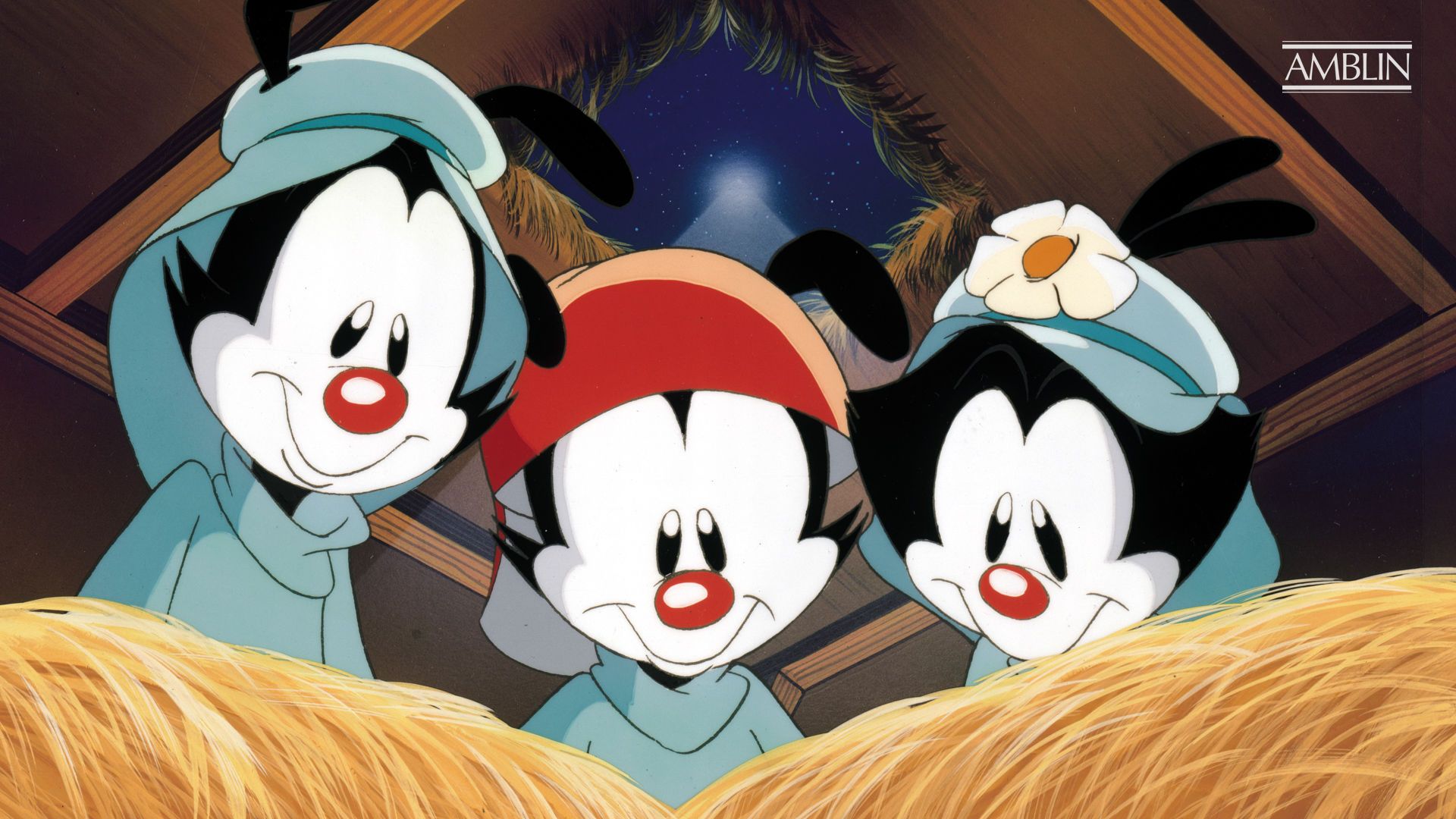 Animaniacs (1993) Wallpapers