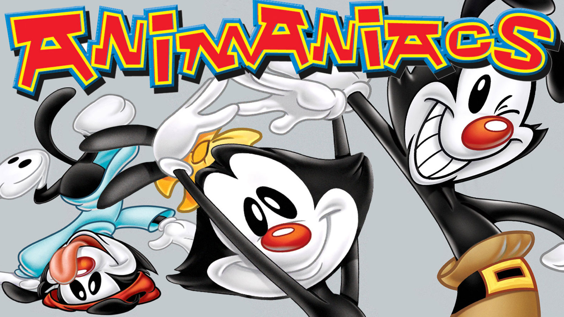 Animaniacs (1993) Wallpapers