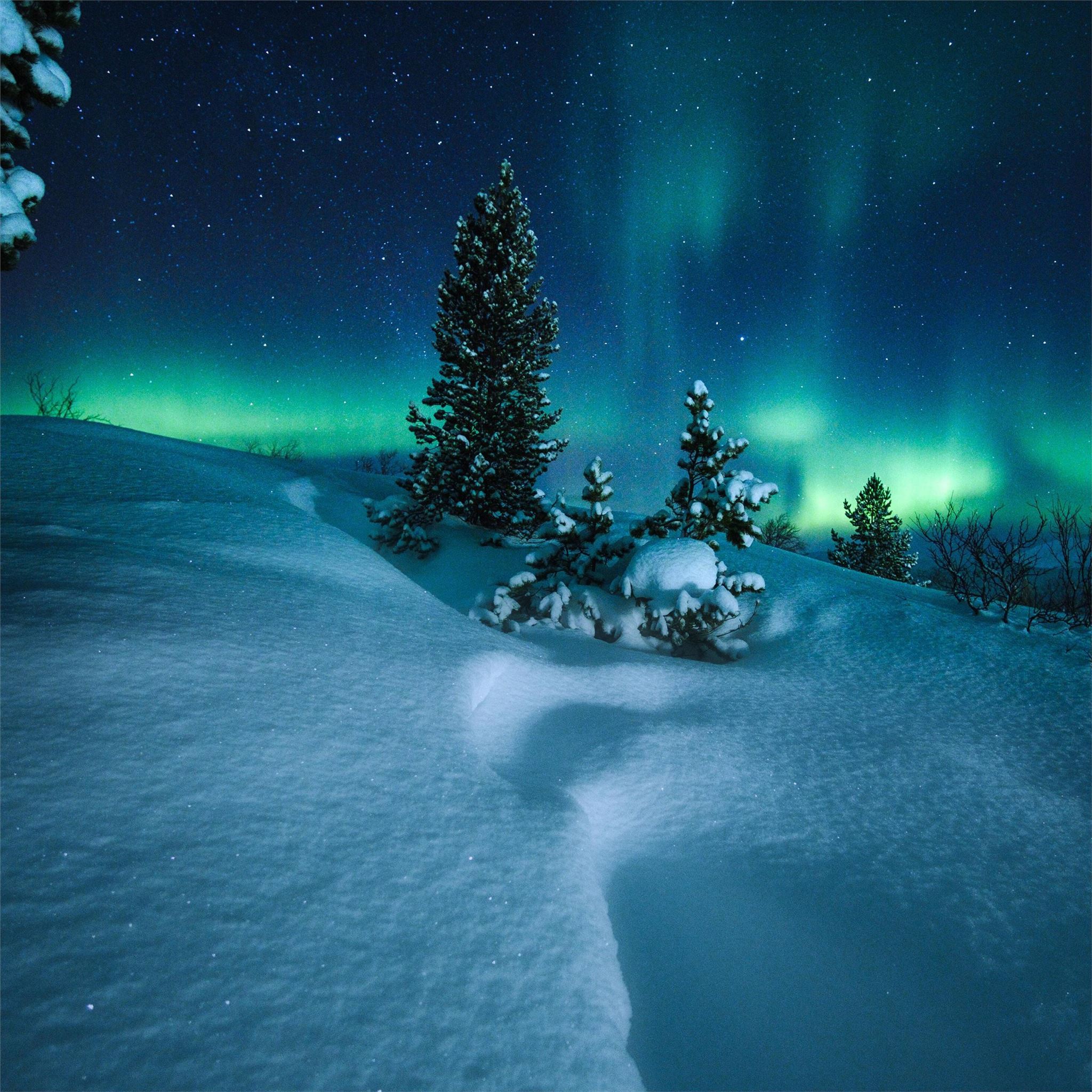 Arctic Air Wallpapers