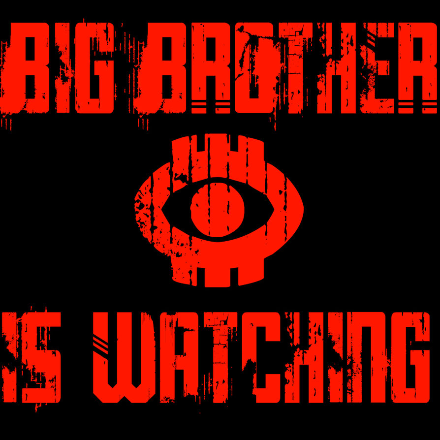 Big Brother Brasil Wallpapers