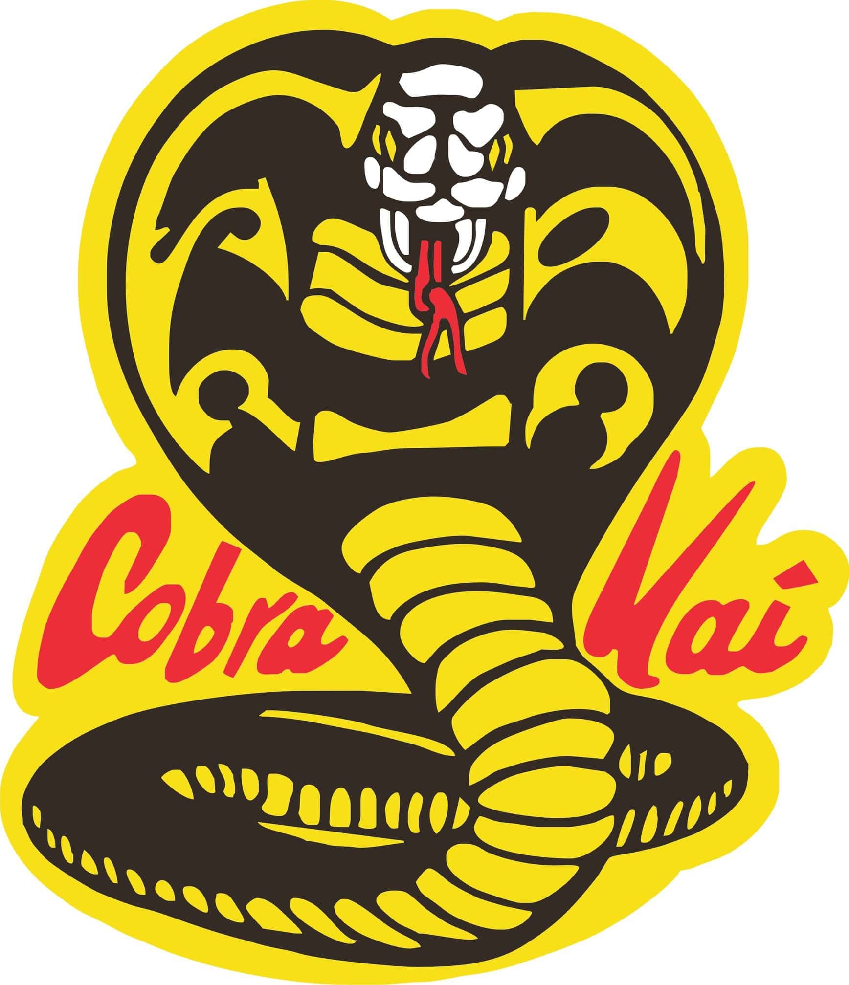 Cobra Kai Iphone Hd Wallpapers