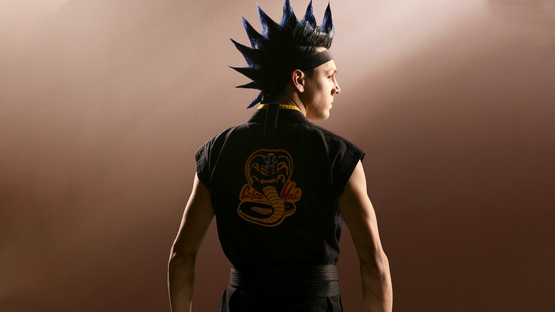 Cobra Kai Season 2 Wallpapers