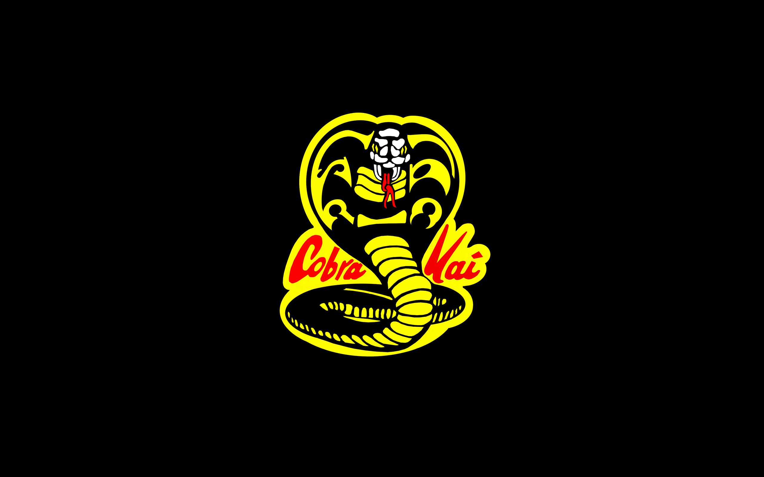 Cobra Kai Season 4 Wallpapers