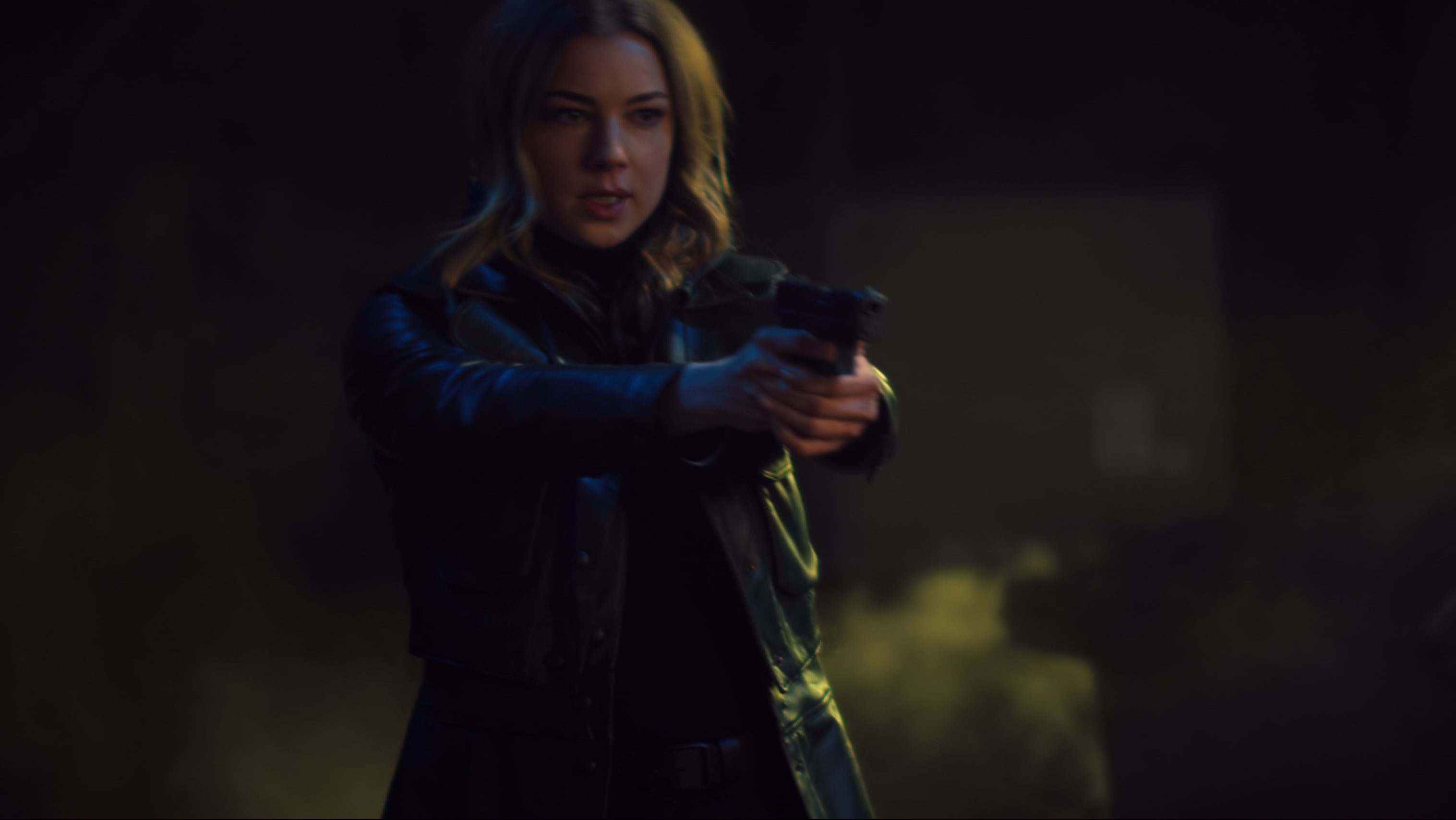 Emily Vancamp As Sharon Carter In The Falcon And The Winter Soldier Wallpapers