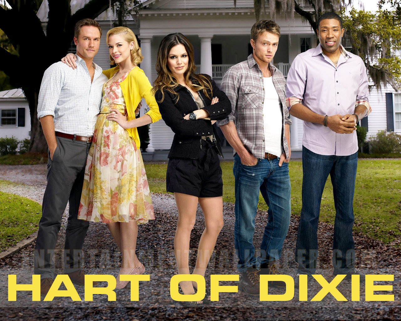 Hart Of Dixie Wallpapers