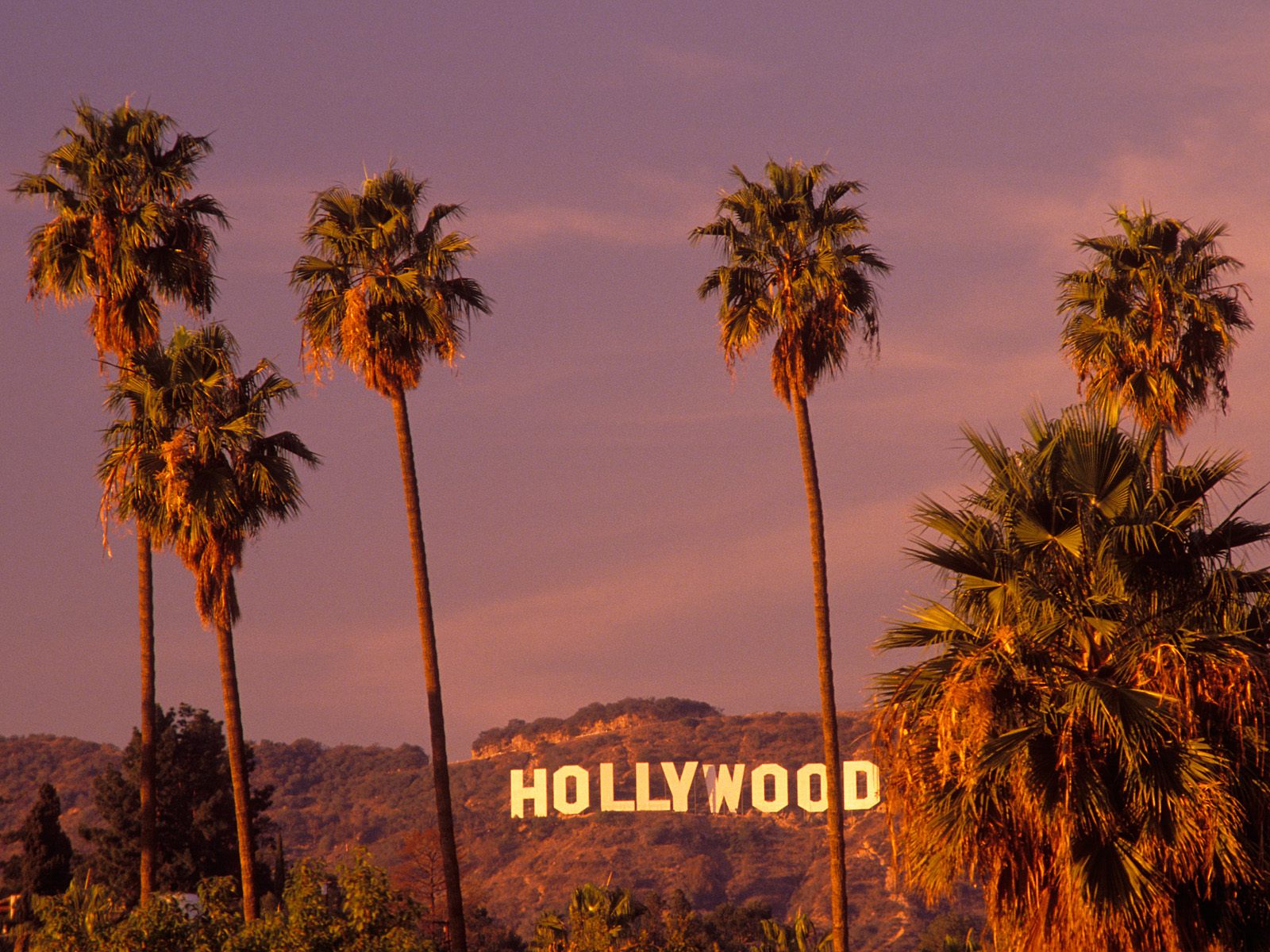 Hollywood Wallpapers