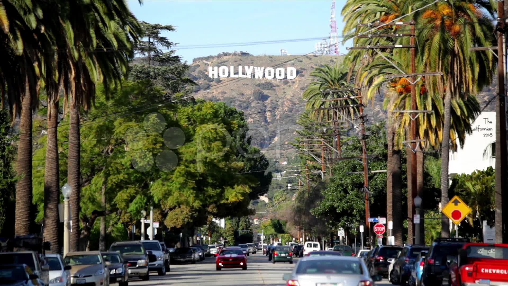 Hollywood Wallpapers