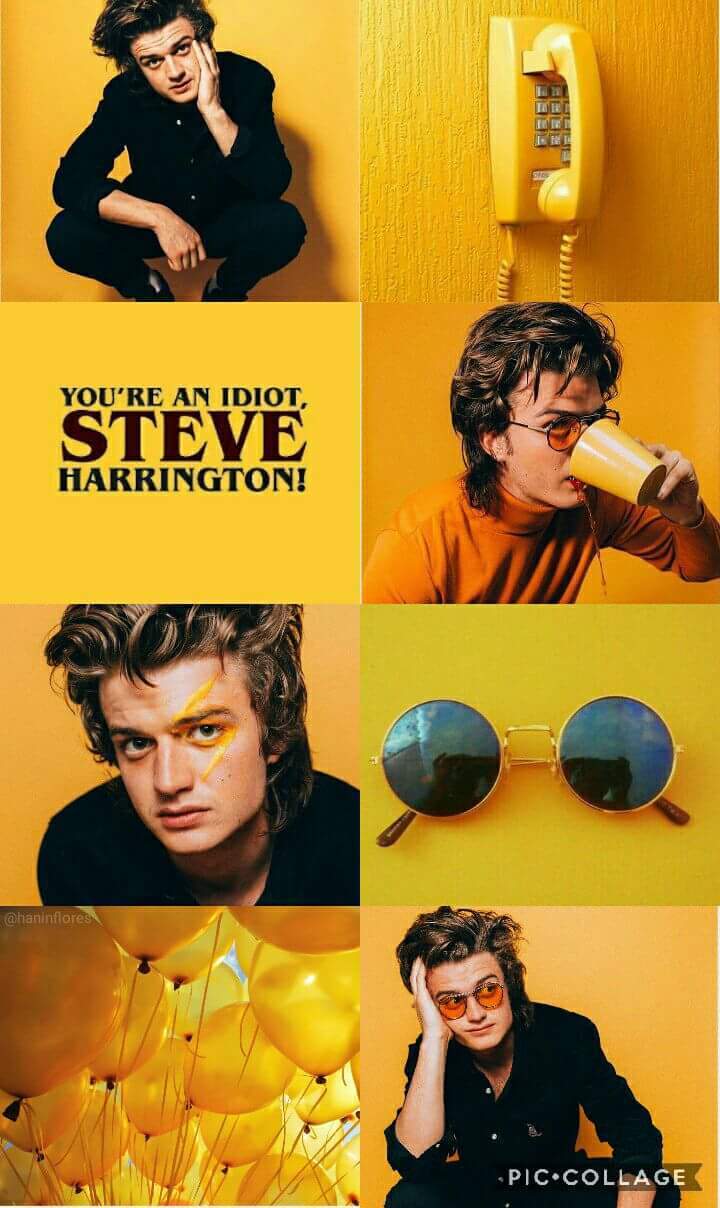 Joe Keery As Steve Harrington Stranger Things Wallpapers