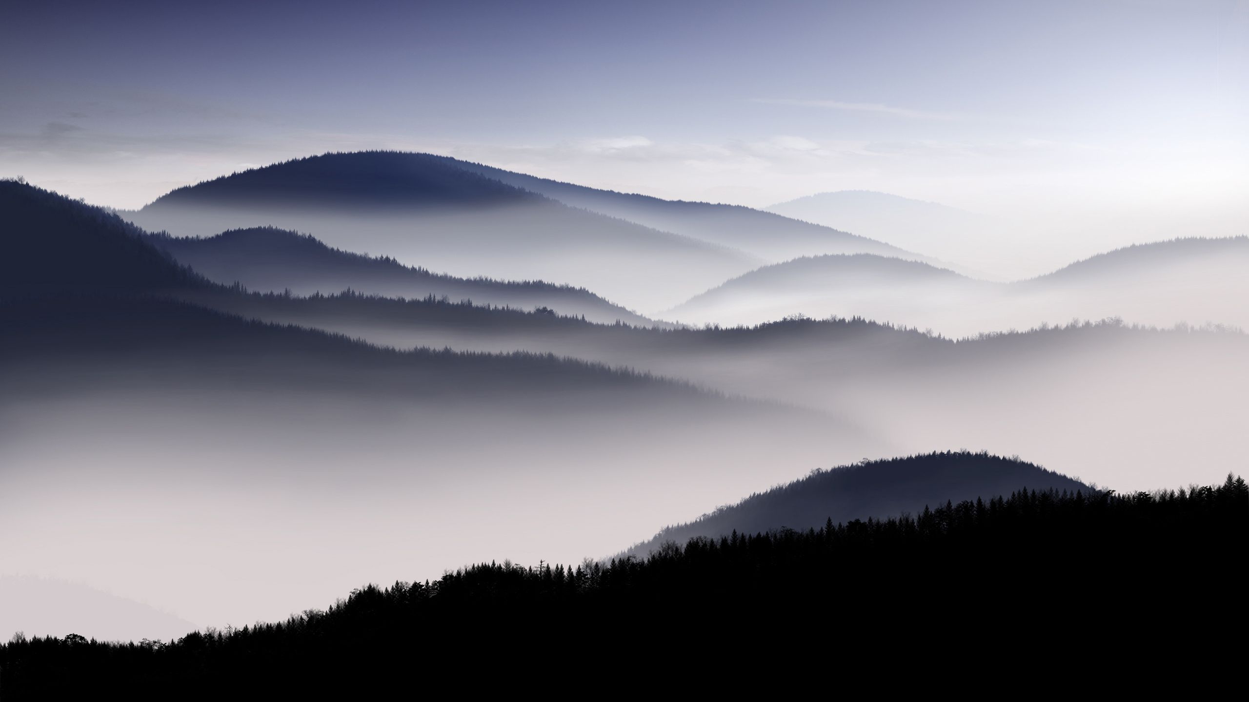 Landscape Fog Nature Wallpapers